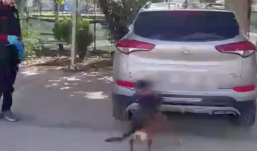 Mersin'de cipte 27 litre sentetik uyuşturucu ele geçirildi