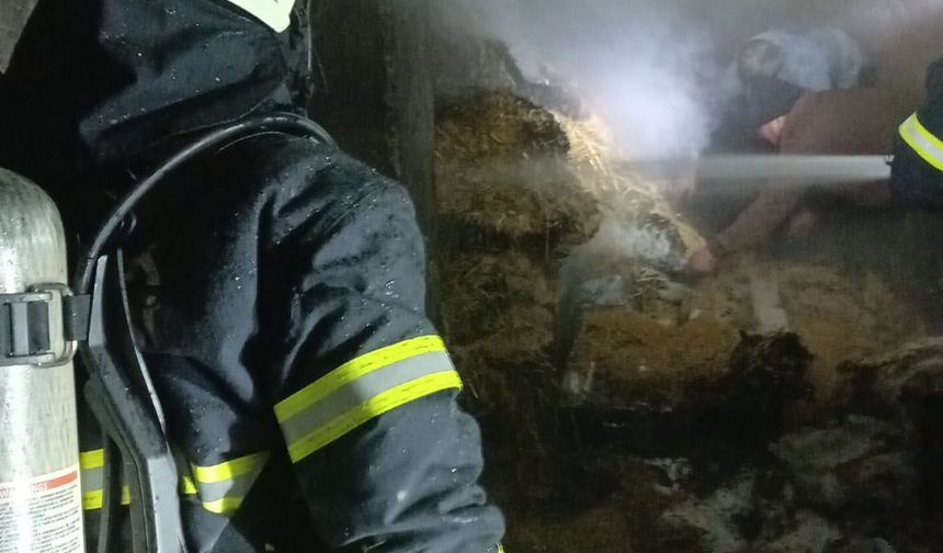 Ev yangını büyümeden söndürüldü