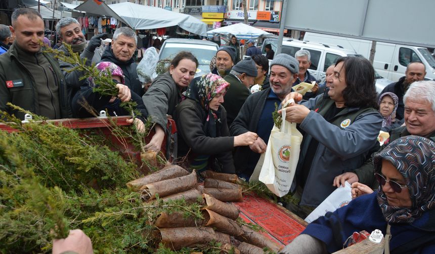 Korkuteli'de fidan dağıtımı