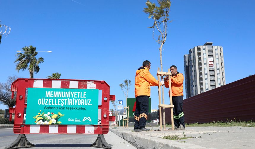 Mersin'de ağaçlandırma kampanyası