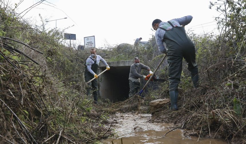 Mersin'de haşere mücadelesi sürüyor