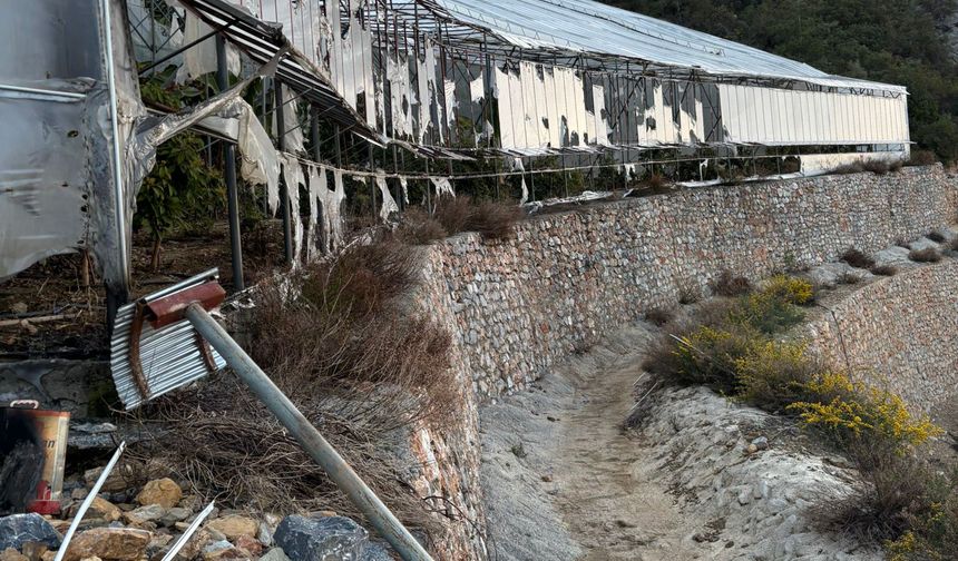 Muz serasının kundaklanmasına 3 tutuklama