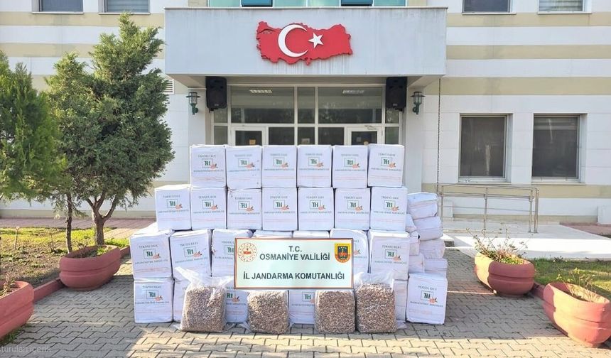Osmaniye'de jandarma son bir haftada 109 şüpheliyi yakaladı