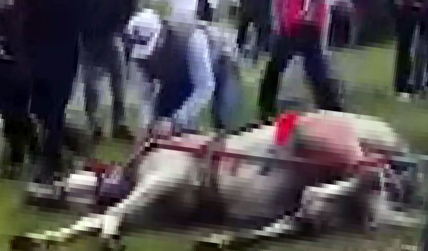 Sahibinin, koşmadığı için dövdüğü at bayıldı