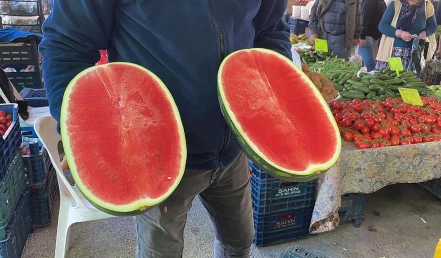 Sezonun İlk Karpuzu Tezgahta: Dilim Dilim Satılıyor, Kilosu 50 TL
