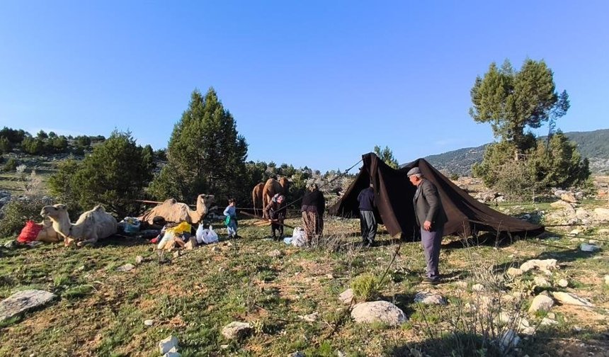 Sarıkeçililer Yayla Yolunda: Bin Yıllık Göç Geleneği Toroslar’da Yaşatılıyor