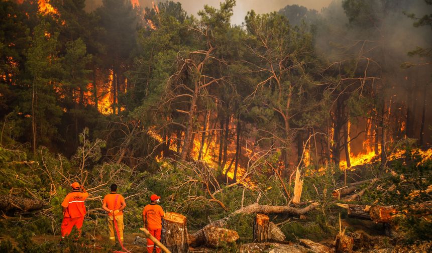 2025'te ihmal, dikkatsizlik, kasıt ve kazadan 1933 orman yangını çıktı