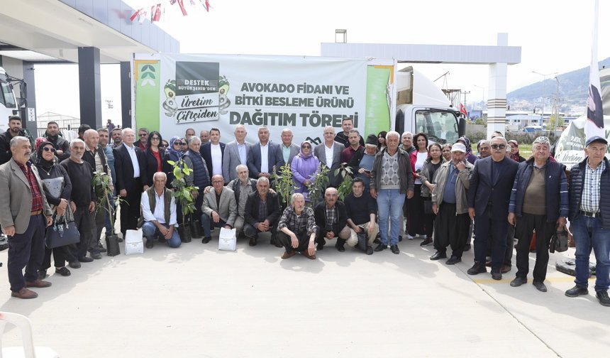 Anamur'da üreticiye avokado fidanı ve bitki besleme ürünü dağıtıldı