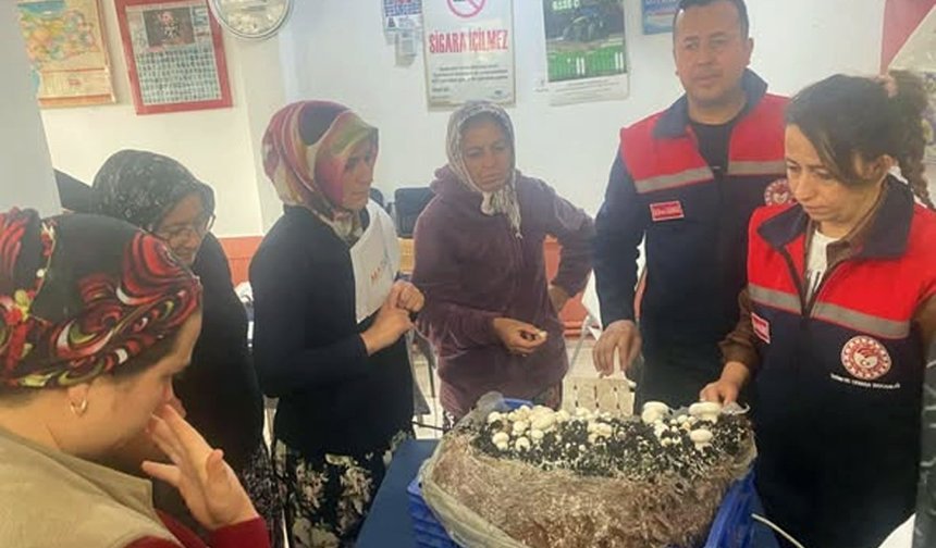 Eğirdir Çayköy'de mantar yetiştiriciliği kursuna yoğun ilgi
