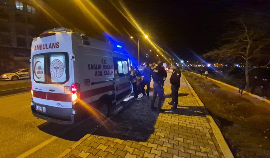 Otomobilin göl kenarına uçtuğu kaza kamerada