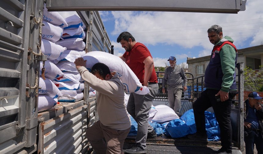 Hasanbeyli'de 40 çiftçiye yerli nohut tohumu dağıtıldı