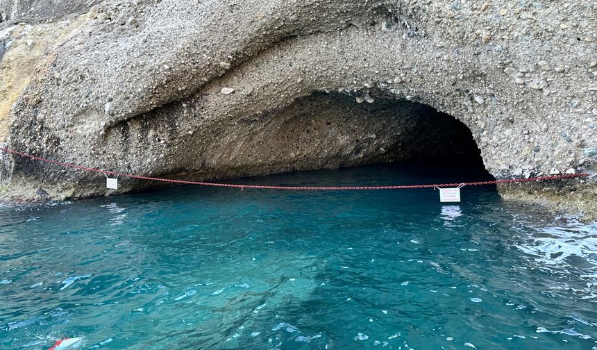 Kemer'de Akdeniz foklarının yaşam alanları koruma altına alınıyor