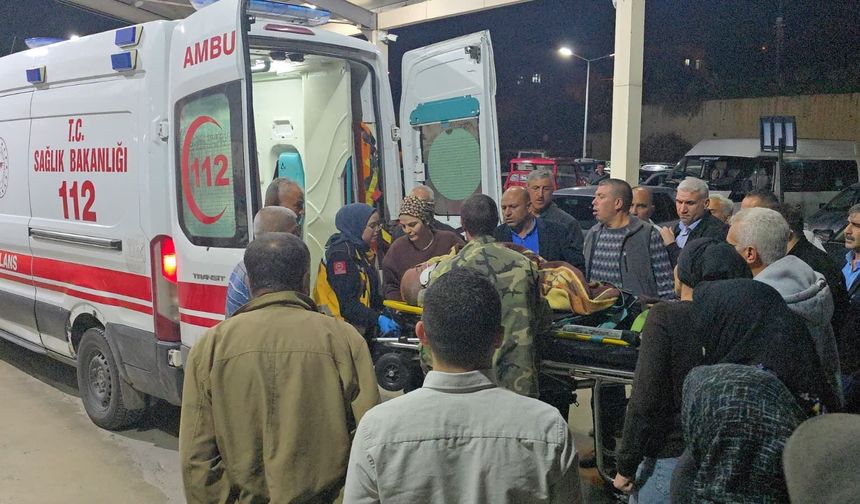 Küçükbaş hayvan yüklü kamyonet devrildi; 1'i ağır, 2 yaralı