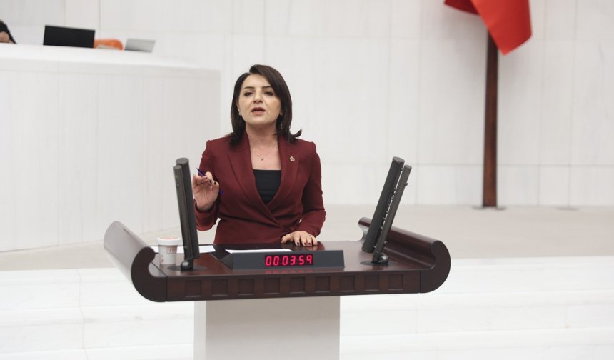 CHP’li Gülcan Kış’tan Ekonomi Çıkışı: “Tarlada İthalat, Cepte Borç Var”