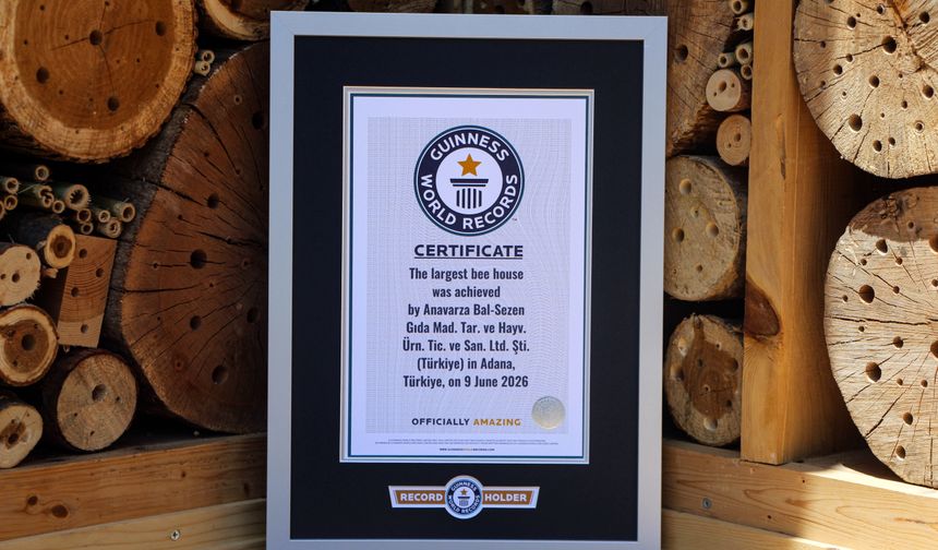 Adana'da hayata geçirilen 'arı oteli' dünyanın en büyüğü; Guinness tescil etti