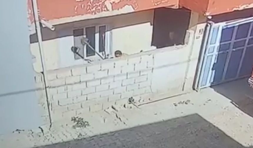 Evde yılan paniği