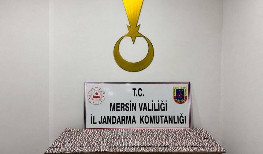Mersin'de uyuşturucu operasyonu: 1 tutuklama