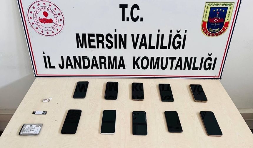 Sanal medya dolandırıcıları yakalandı