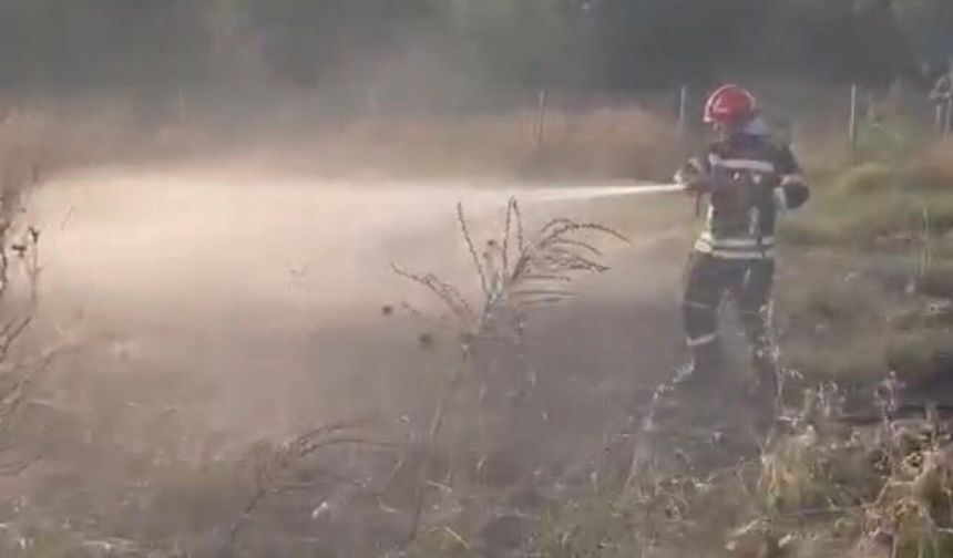 Tankerin lastiklerinden otluk alana sıçrayan yangın söndürüldü