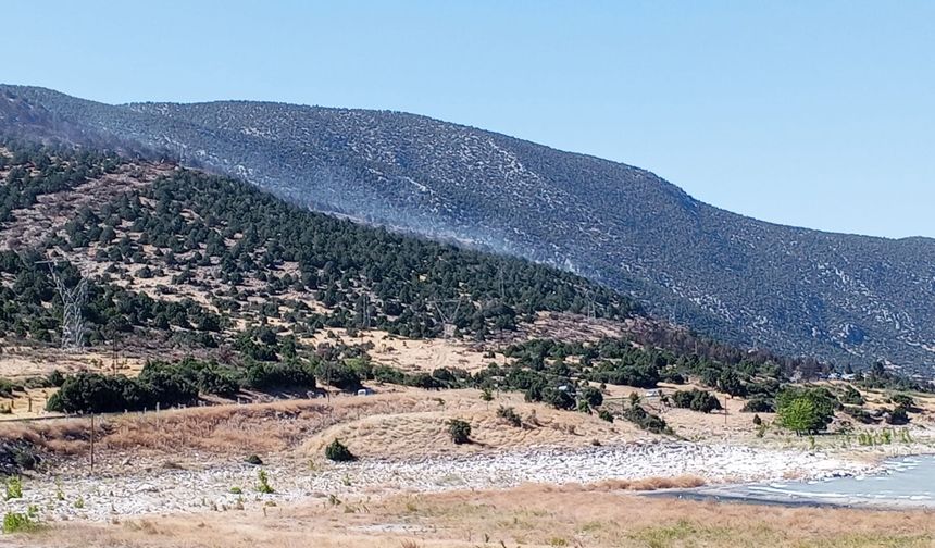 Eğirdir Gölü kenarında 2 noktada yangın (2)