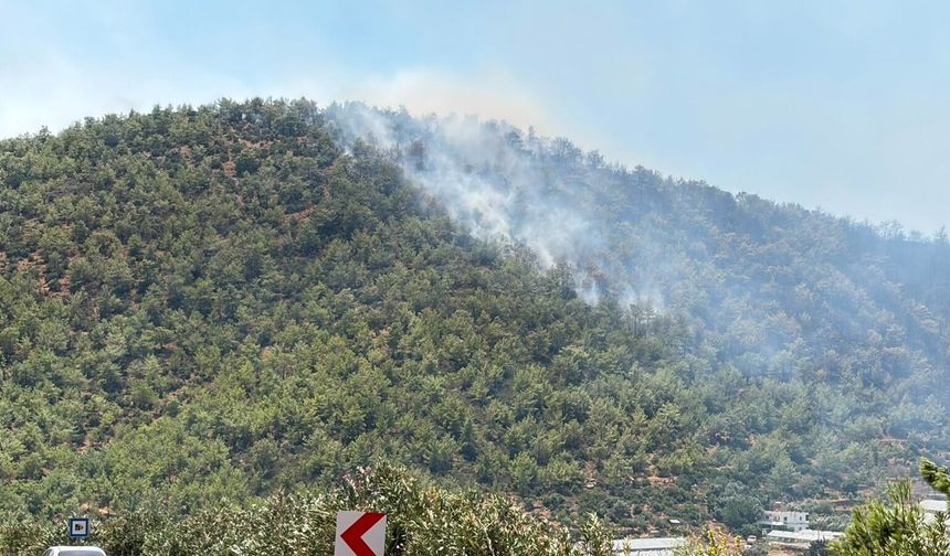 Mersin'de orman yangını (2)