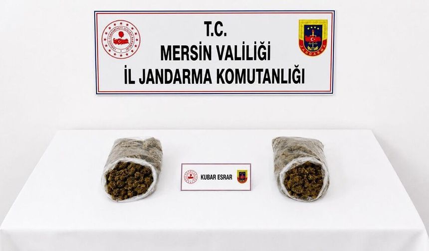 Mersin'de uyuşturucu operasyonunda 2 tutuklama