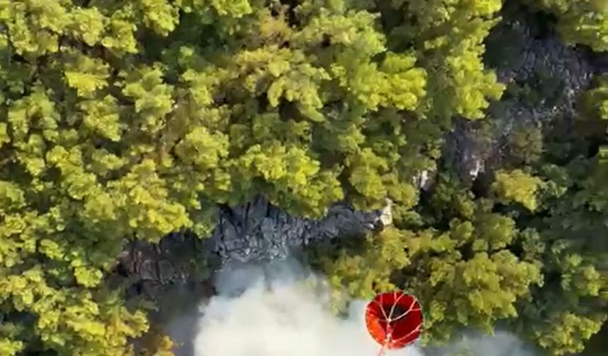 Antalya'da orman yangını