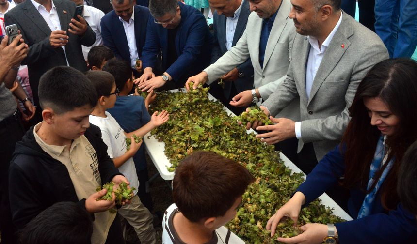 Kahramanmaraş'ta fındık festivali