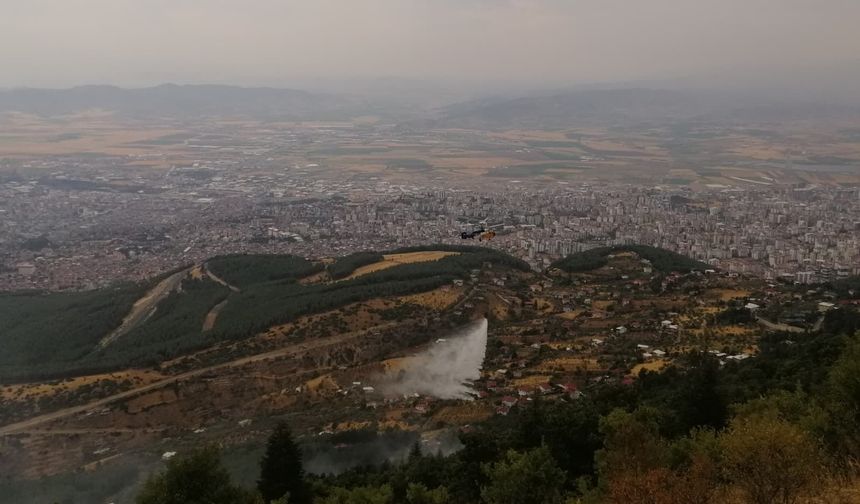 Kahramanmaraş'ta orman yangını (2)