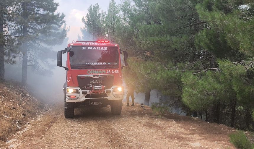 Kahramanmaraş'ta orman yangını / Ek fotoğraflar