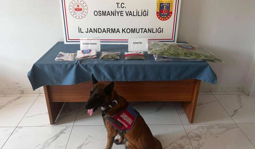 Osmaniye'de jandarma son bir haftada 118 şüpheliyi yakaladı