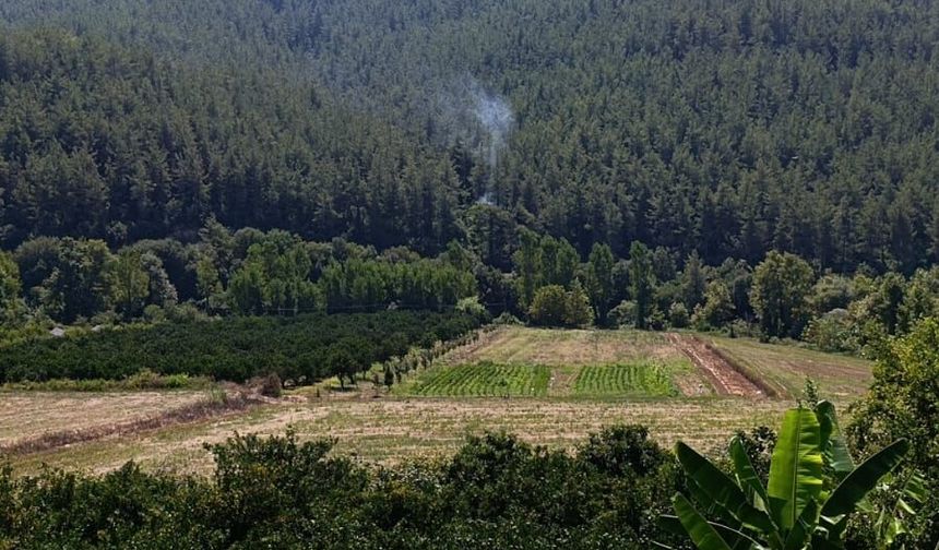 Sumbas'ta orman yangını söndürüldü