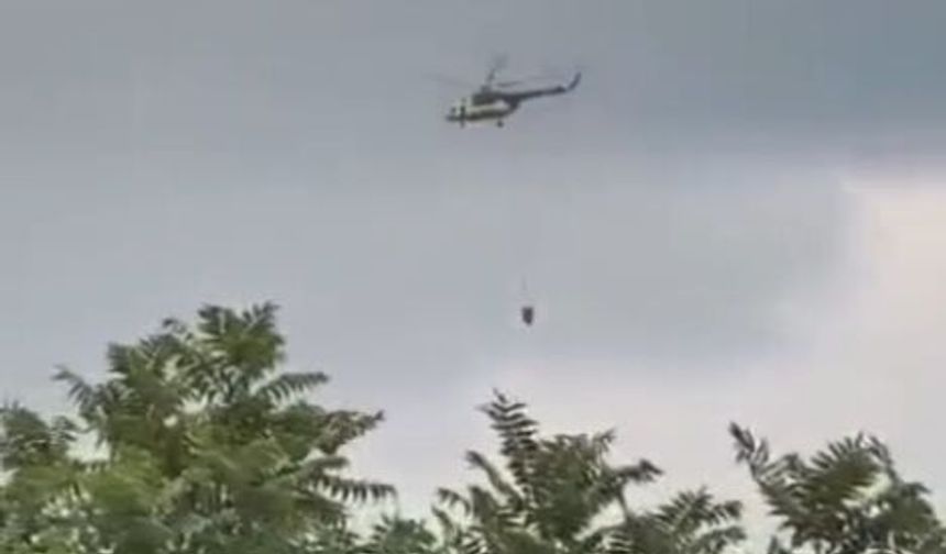 Hatay'da orman yangını