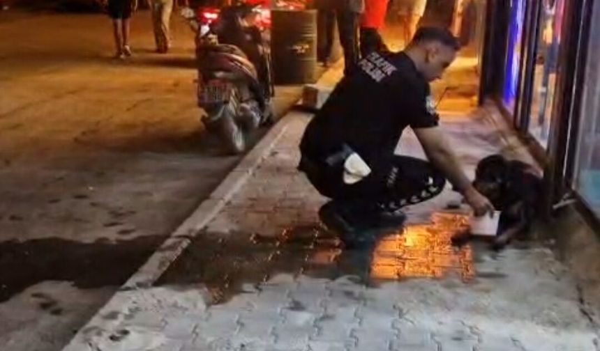 Silahla vurularak yaralanan sokak köpeğine polis ekipleri sahip çıktı
