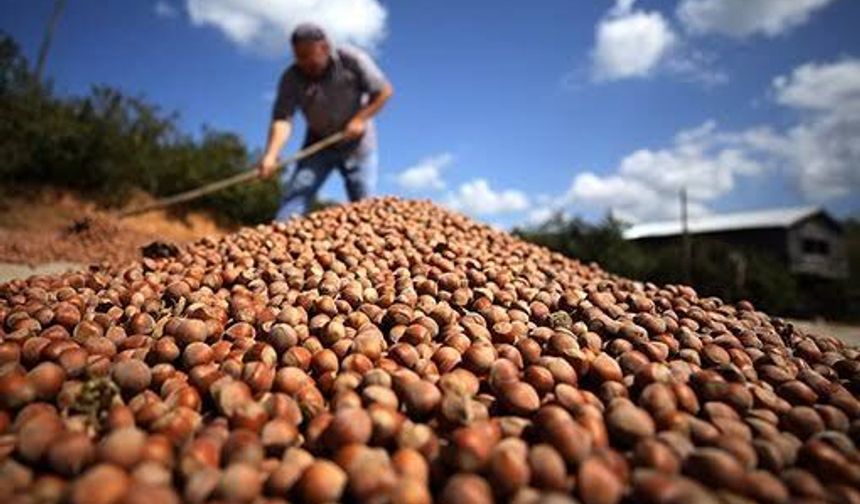 Akdeniz'den Karadeniz'e üreticinin derdi aynı