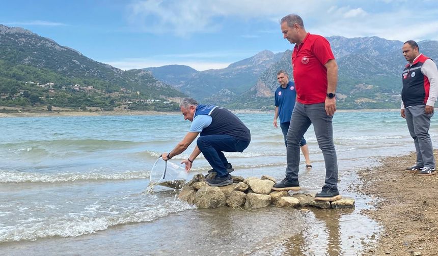 Kozan'da yavru sazanlar su kaynaklarıyla buluşturuldu