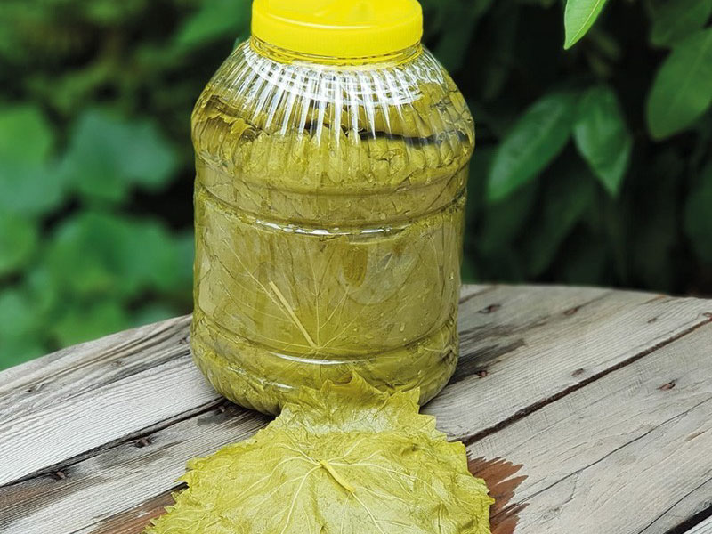 Salamura Asma Yaprak