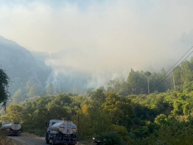 1Dadd1B1 74D2 4257 9C03 81Aa4B6963Ef