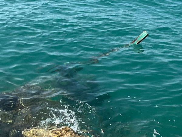 65533Cb0 3111 4410 A31D 8A2Ba557827C