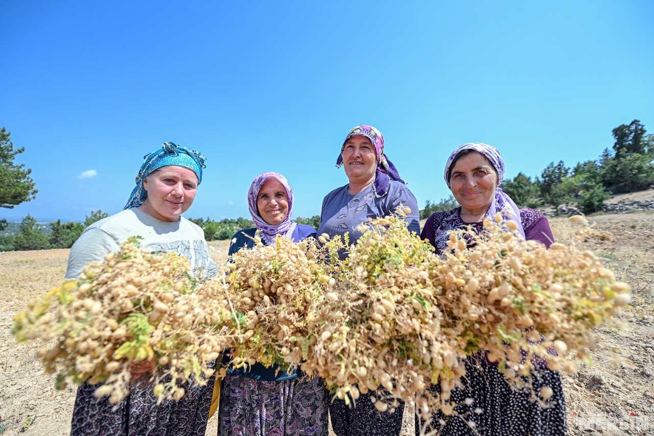 Büyük Mersi̇n Büyükşehi̇r İle Atalik Tohumlar Geleceğe Taşiniyor (4)
