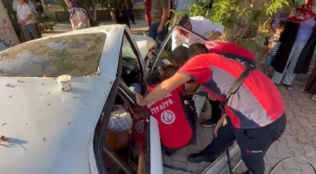 B5627D59 B8Df 4375 89C3 8Ae6F31B4D16