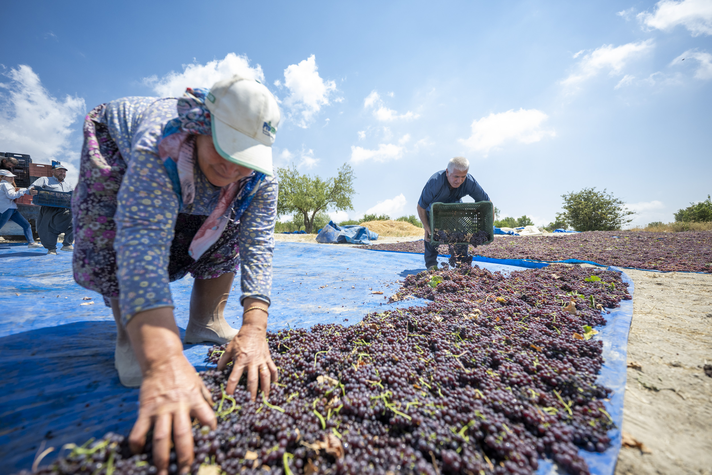 Büyükşehi̇r’i̇n Coğrafi̇ İşaret Tesci̇li̇ İle Üreti̇ci̇ni̇n Ürünü Değerleni̇yor (6)