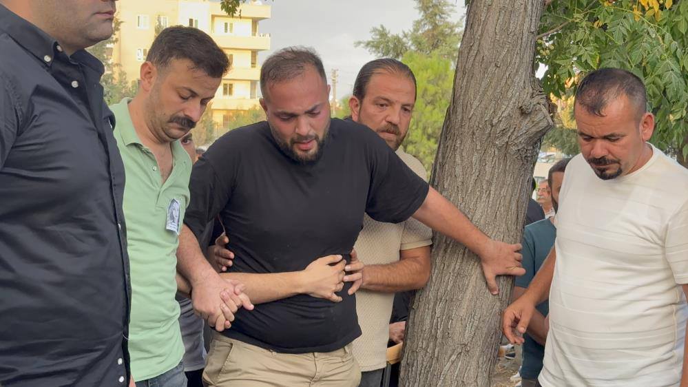 555907170 1391144526344301 1703712471101507865 N