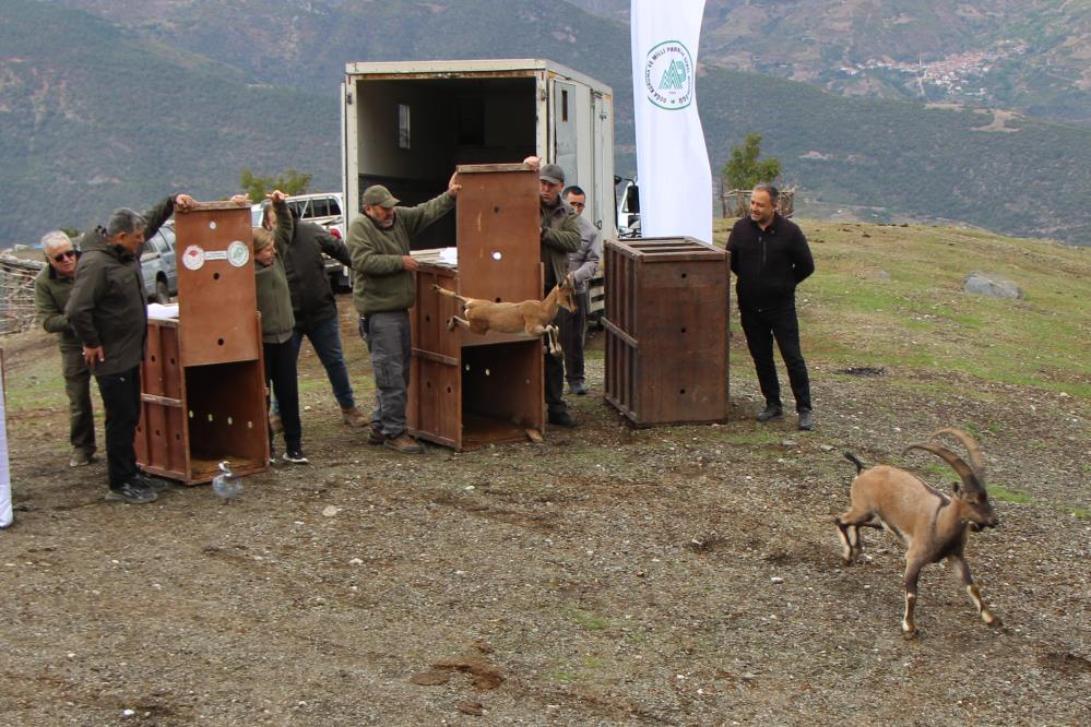 560616485 1406717058120381 985418633458015219 N