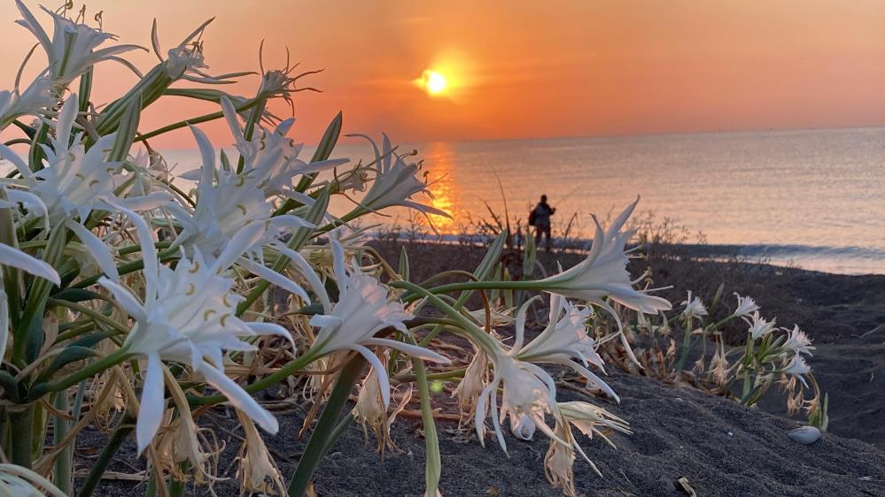 571202540 1413321740793246 5227092179256490400 N