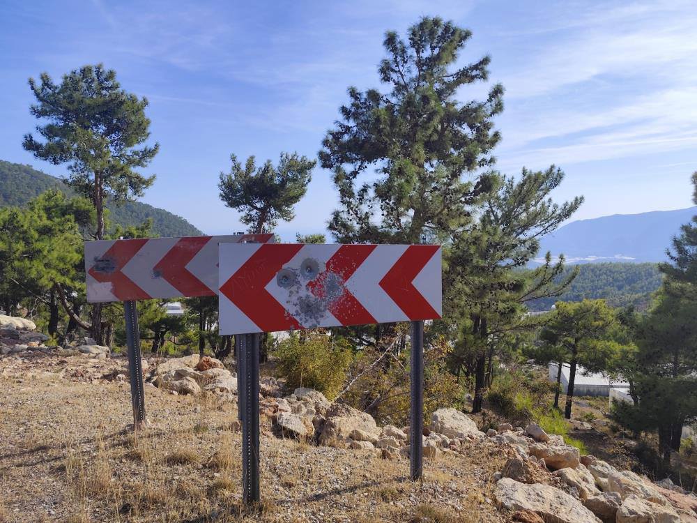 571371737 1419410756851011 1941626300234330326 N