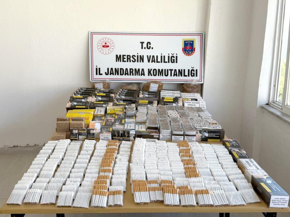 574556066 1423599543098799 3072686978989271243 N