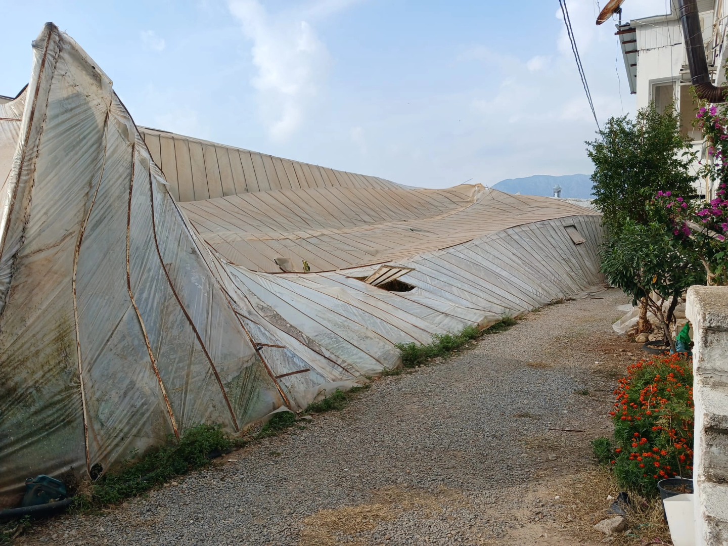 577043671 1427443522714401 1064043948010902154 N