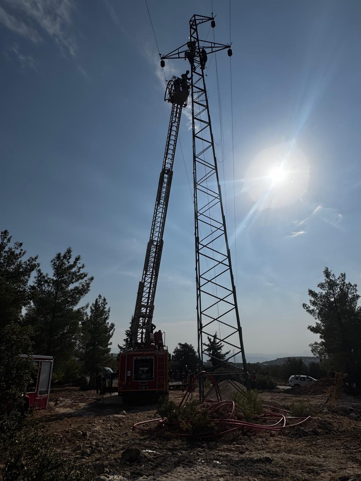 577047854 1431467855645301 7319230457844293226 N