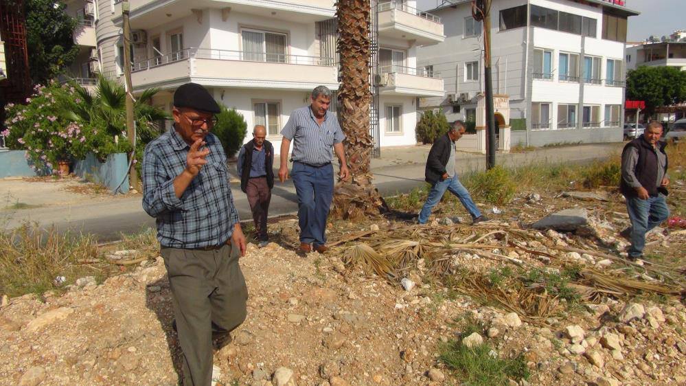 582032324 1434063965385690 4845455578867478937 N